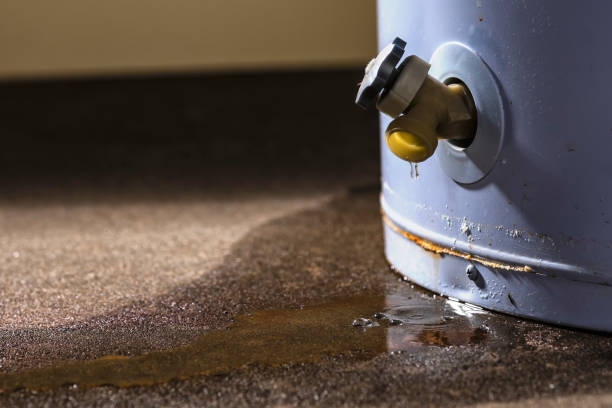 Best Water damage restoration specialists  in North Westport, MA