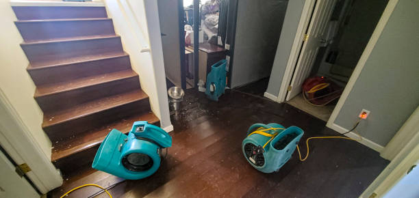 Best Local water damage restoration  in North Westport, MA