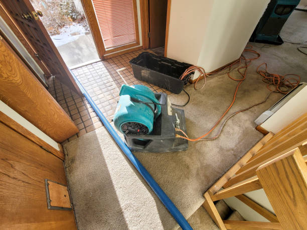 Best Flooded house restoration  in North Westport, MA