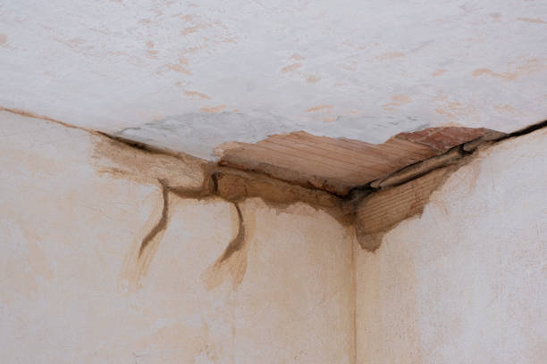 Best Water damage contractors near me  in North Westport, MA