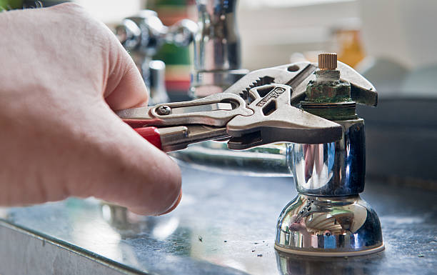Best Mold removal after water damage  in North Westport, MA