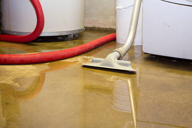 Best Sewage cleanup and water damage restoration  in North Westport, MA