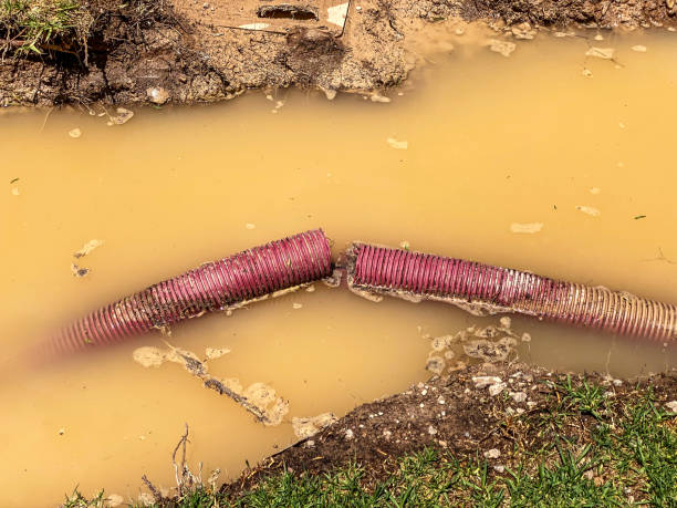 Best Emergency water damage restoration  in North Westport, MA